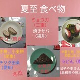 夏至6/21～7/7頃食べ物♪蛸酢の物や水無月など